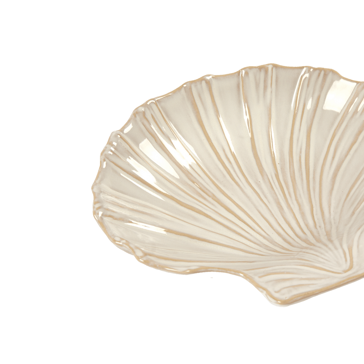 Shell Skål Mellan - Benvit 20x18 cm